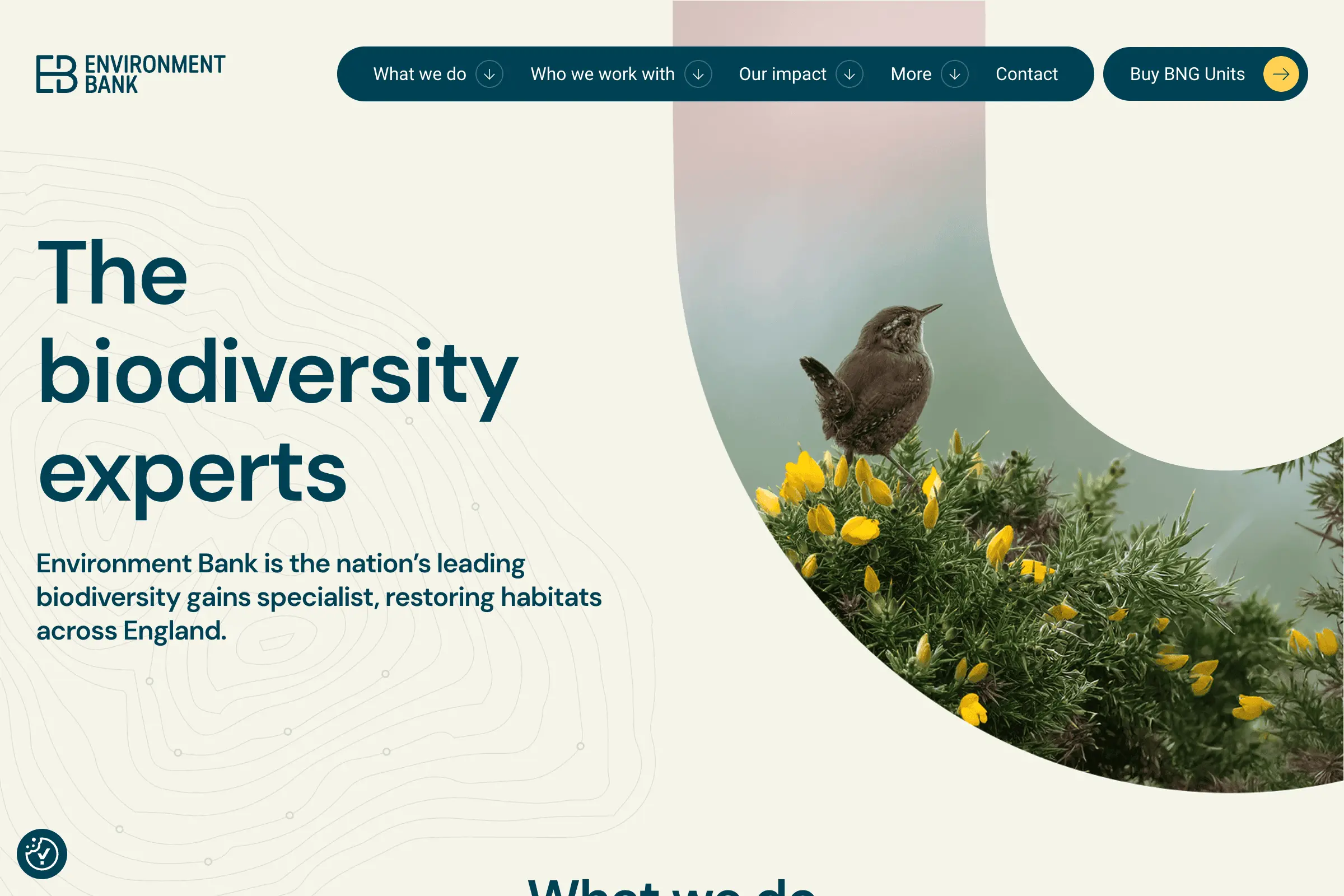 Environment Bank
